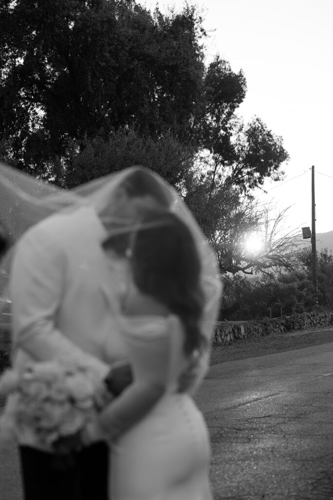 Blur photo with veil over both the bride and groom and she holds her white rose bouquet.