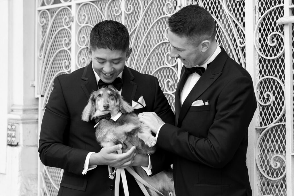 Two grooms in suits with bow ties, holding their fluffy long hair Daschund, in front an intircate iron fence smiling.