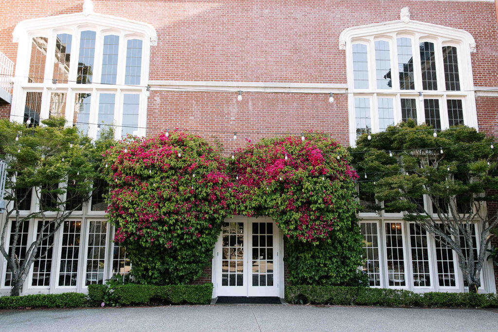 Pink bougainvillea growing around white double doors on a brick building.